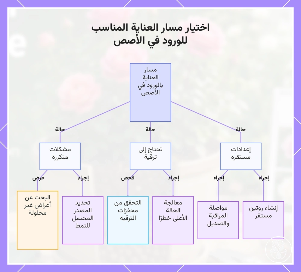 اختيار مسار العناية المناسب للورود في الأصص