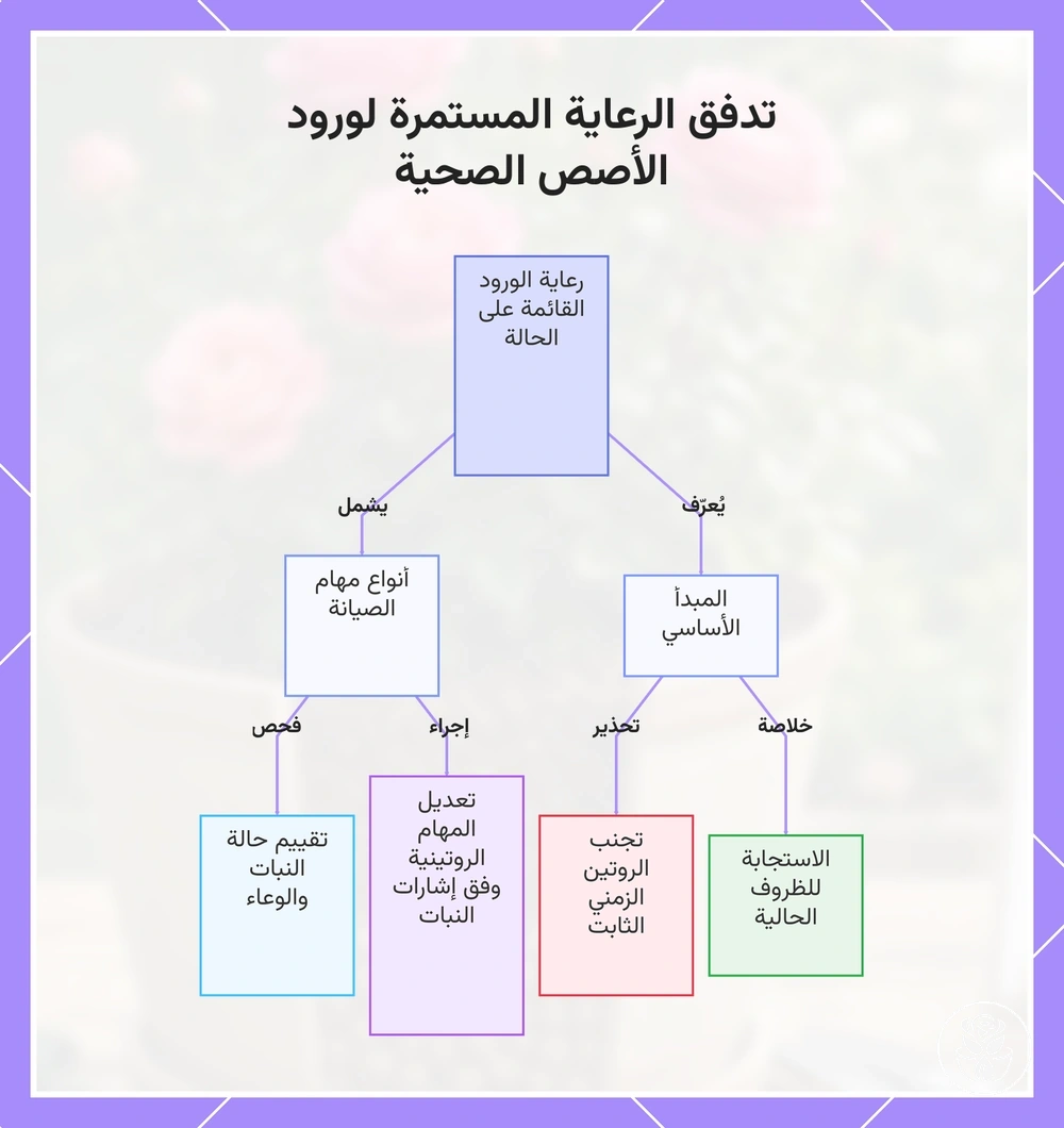 تدفق الرعاية المستمرة لورود الأصص الصحية