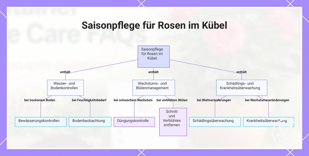 Saisonpflege für Rosen im Kübel