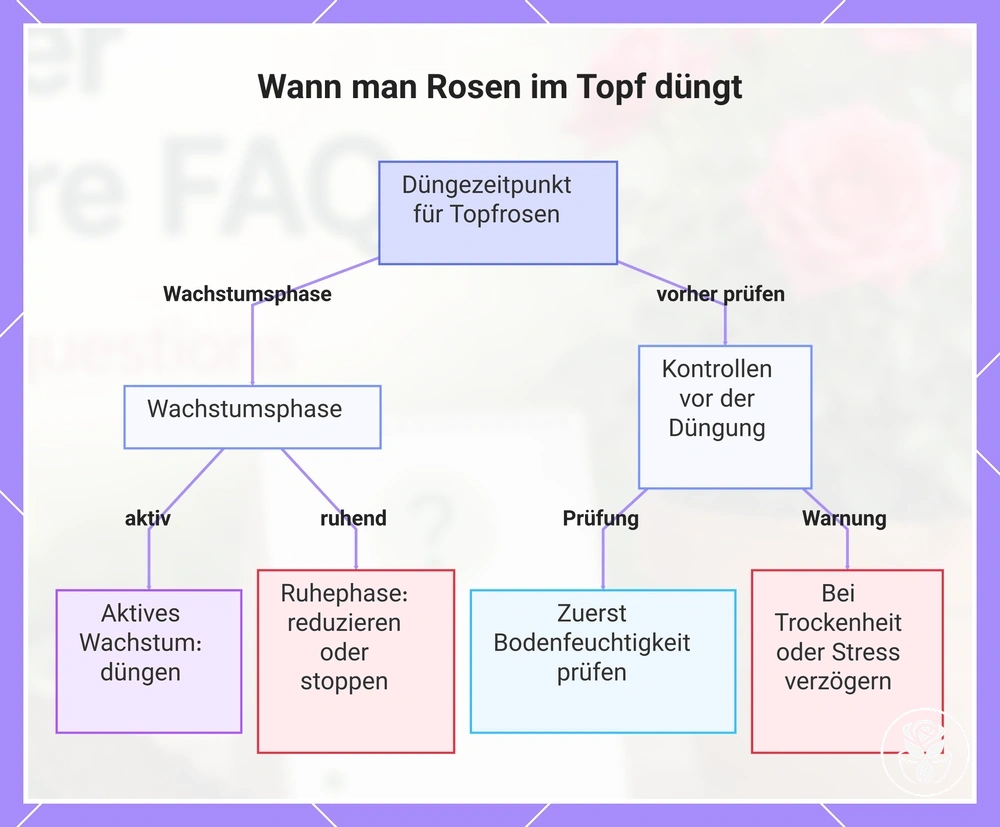 Wann man Rosen im Topf düngt