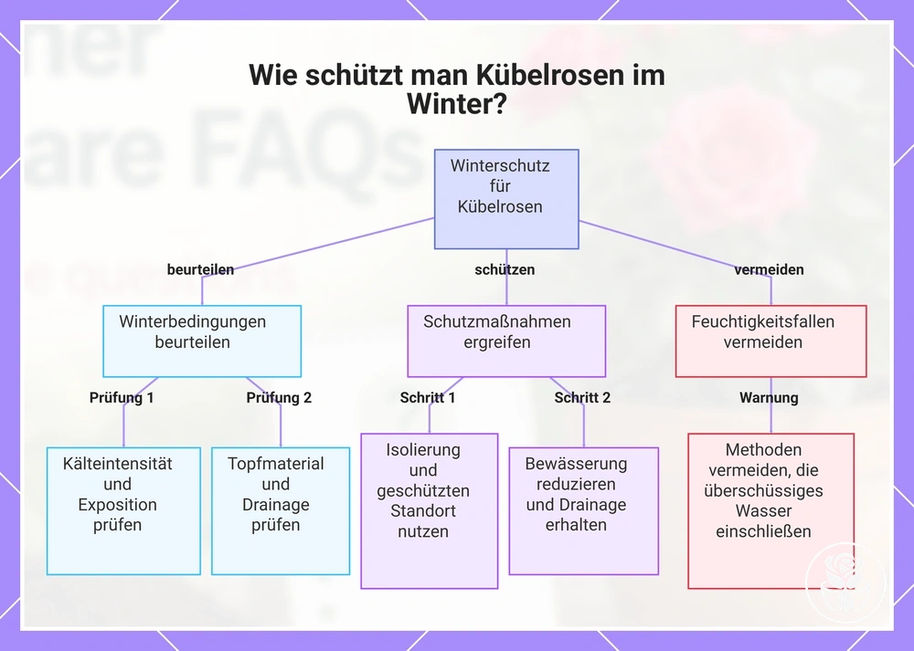 Wie schützt man Kübelrosen im Winter?