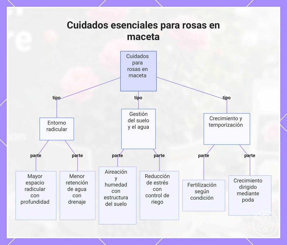 Cuidados esenciales para rosas en maceta