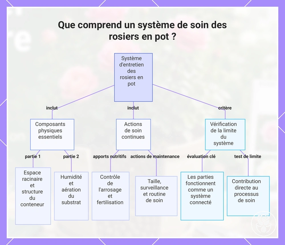 Que comprend un système de soin des rosiers en pot ?