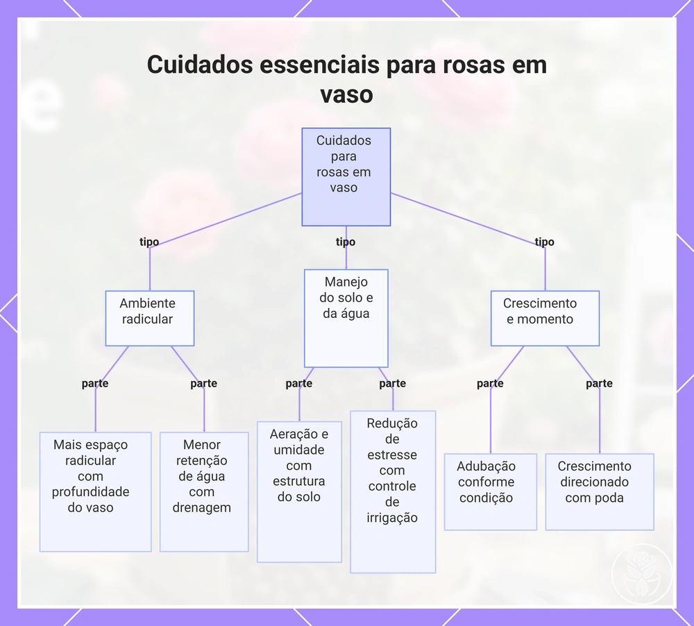 Cuidados essenciais para rosas em vaso