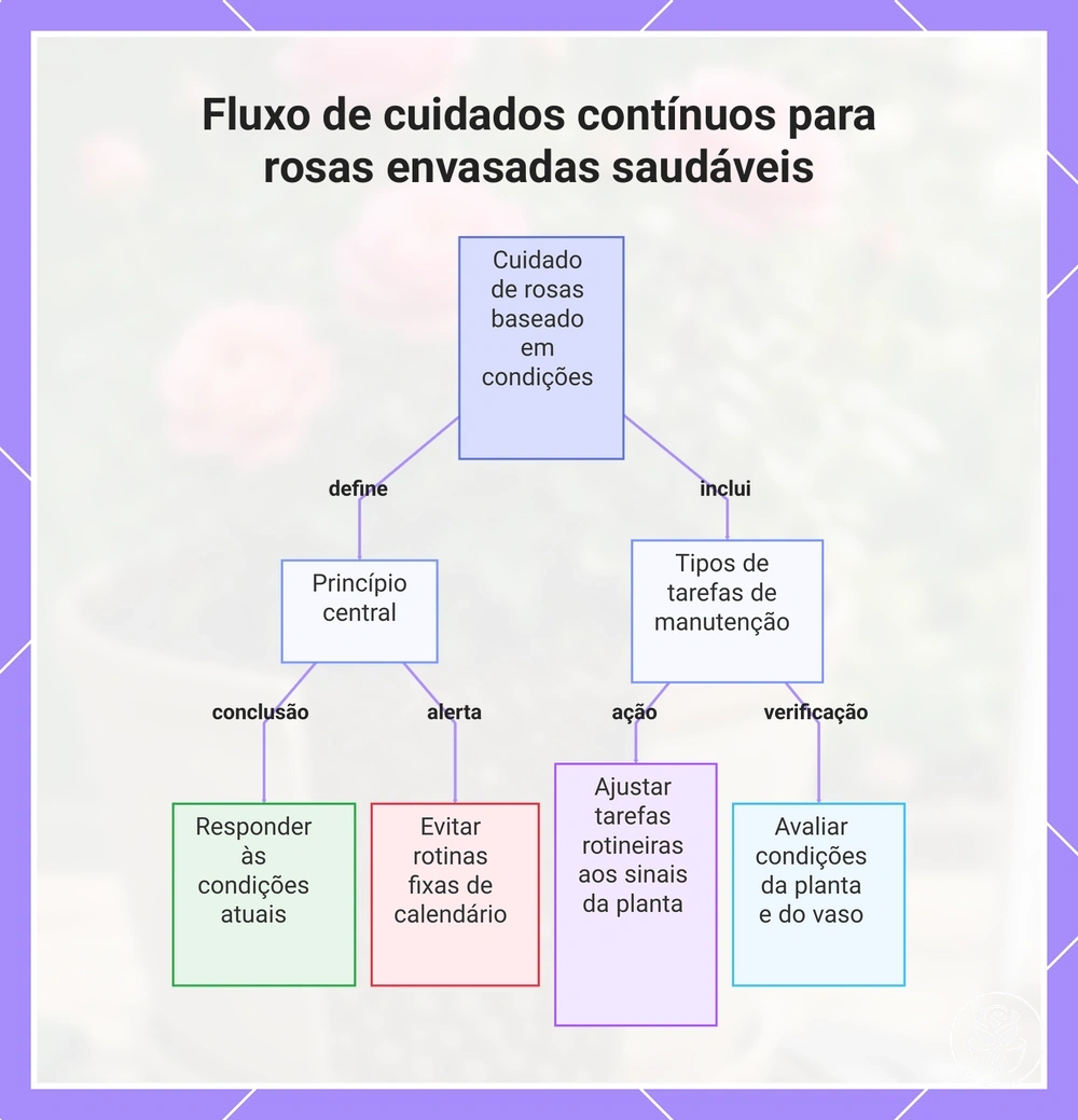 Fluxo de cuidados contínuos para rosas envasadas saudáveis