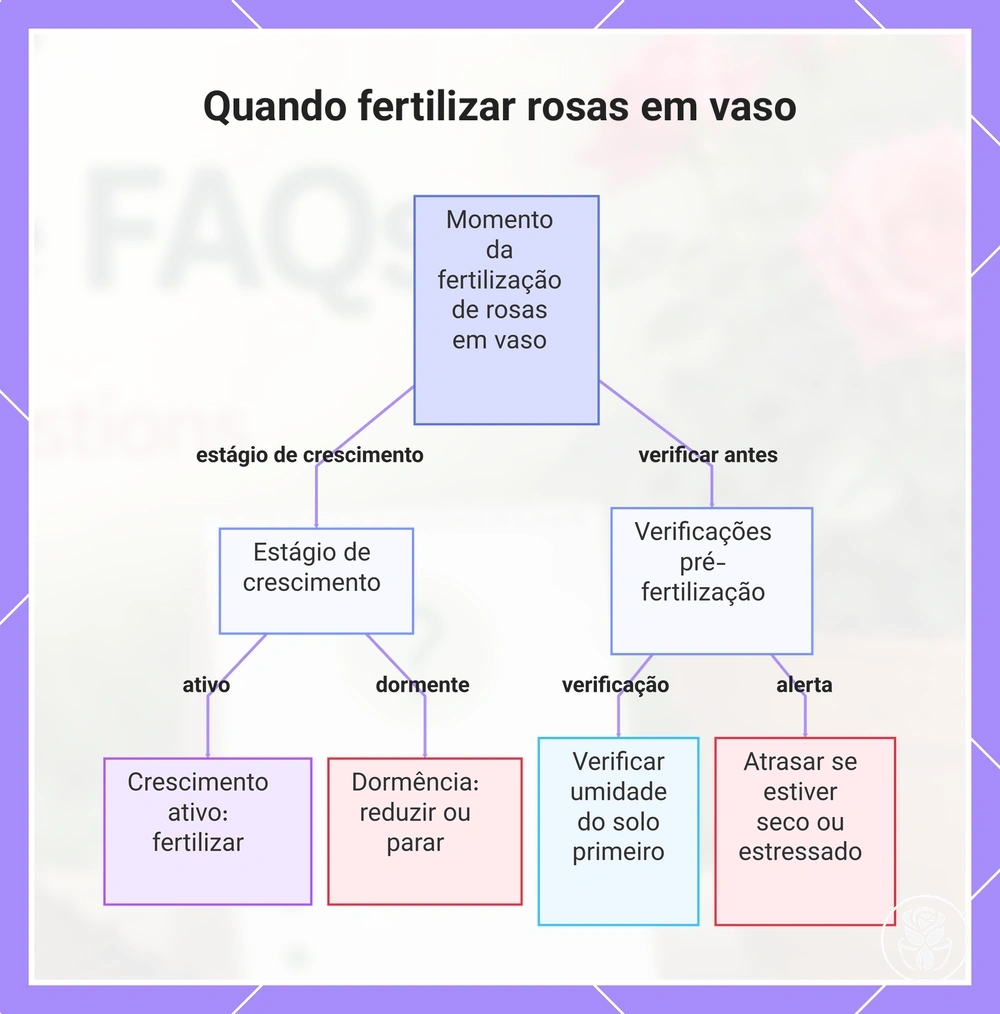 Quando fertilizar rosas em vaso