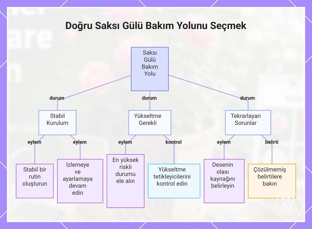 Doğru Saksı Gülü Bakım Yolunu Seçmek