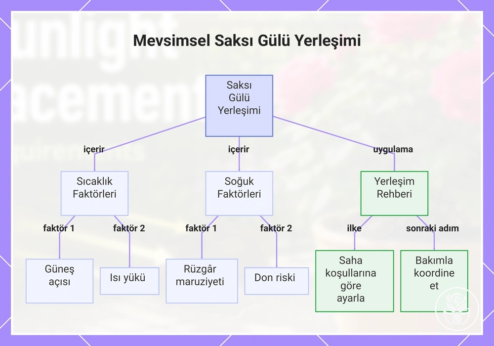 Mevsimsel Saksı Gülü Yerleşimi