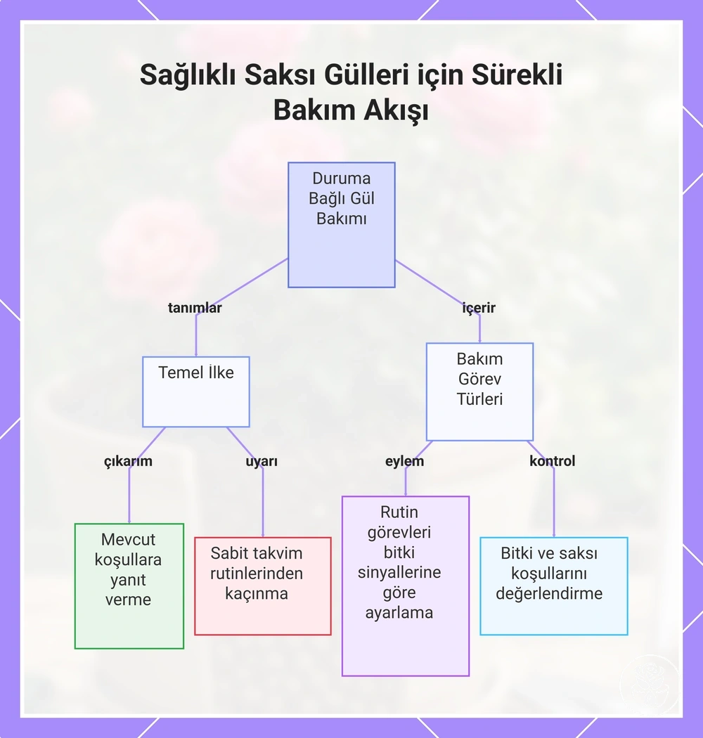 Sağlıklı Saksı Gülleri için Sürekli Bakım Akışı