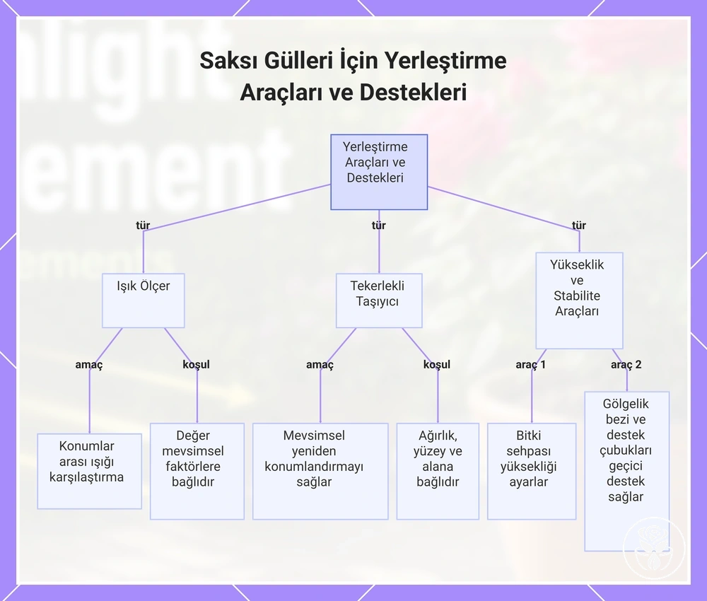 Saksı Gülleri İçin Yerleştirme Araçları ve Destekleri