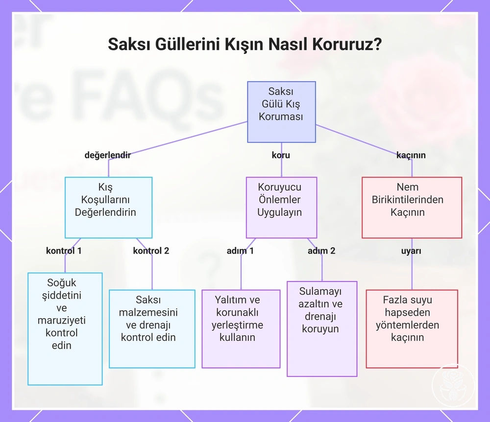 Saksı Güllerini Kışın Nasıl Koruruz?